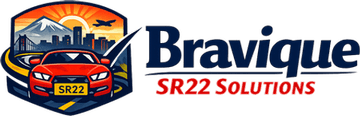 Bravique SR22 Solutions